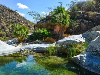 External Featured Image