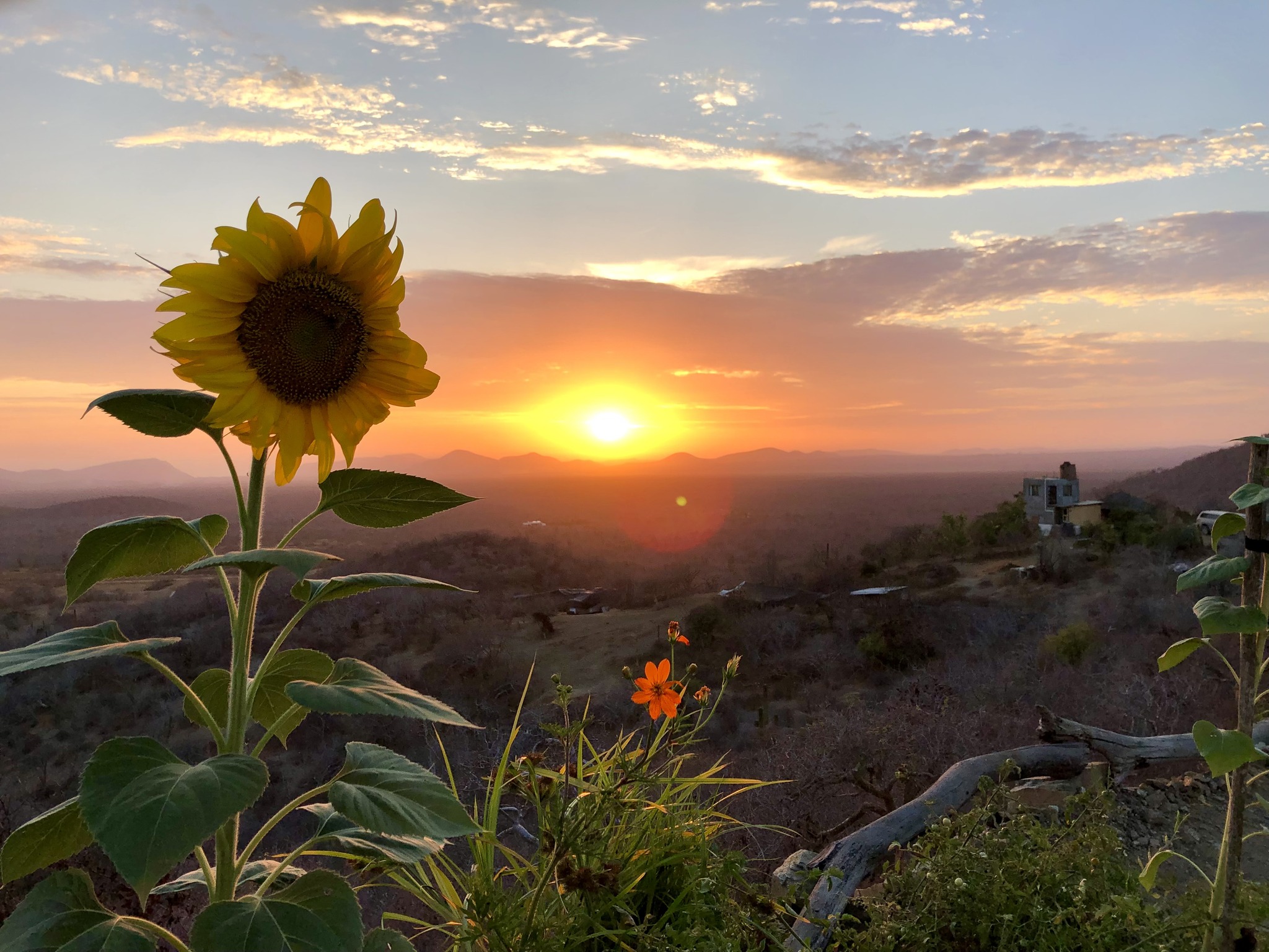 Rancho Pacifico Baja