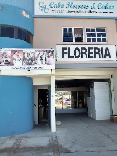 Cabo Flowers and Cakes