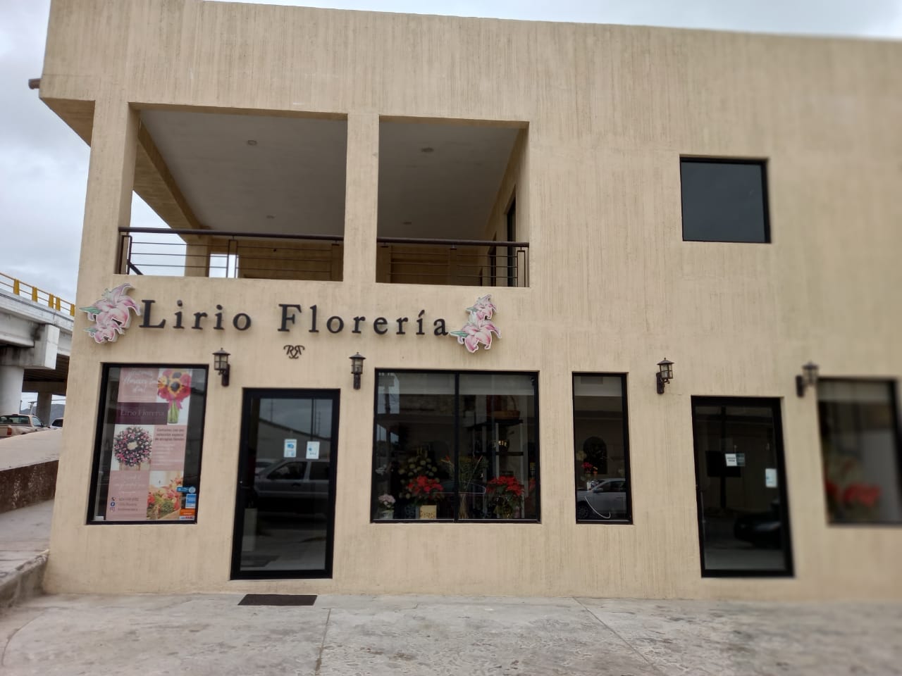 Lirio Florería